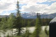 34 - Icefield yo Jasper - IMG_1055